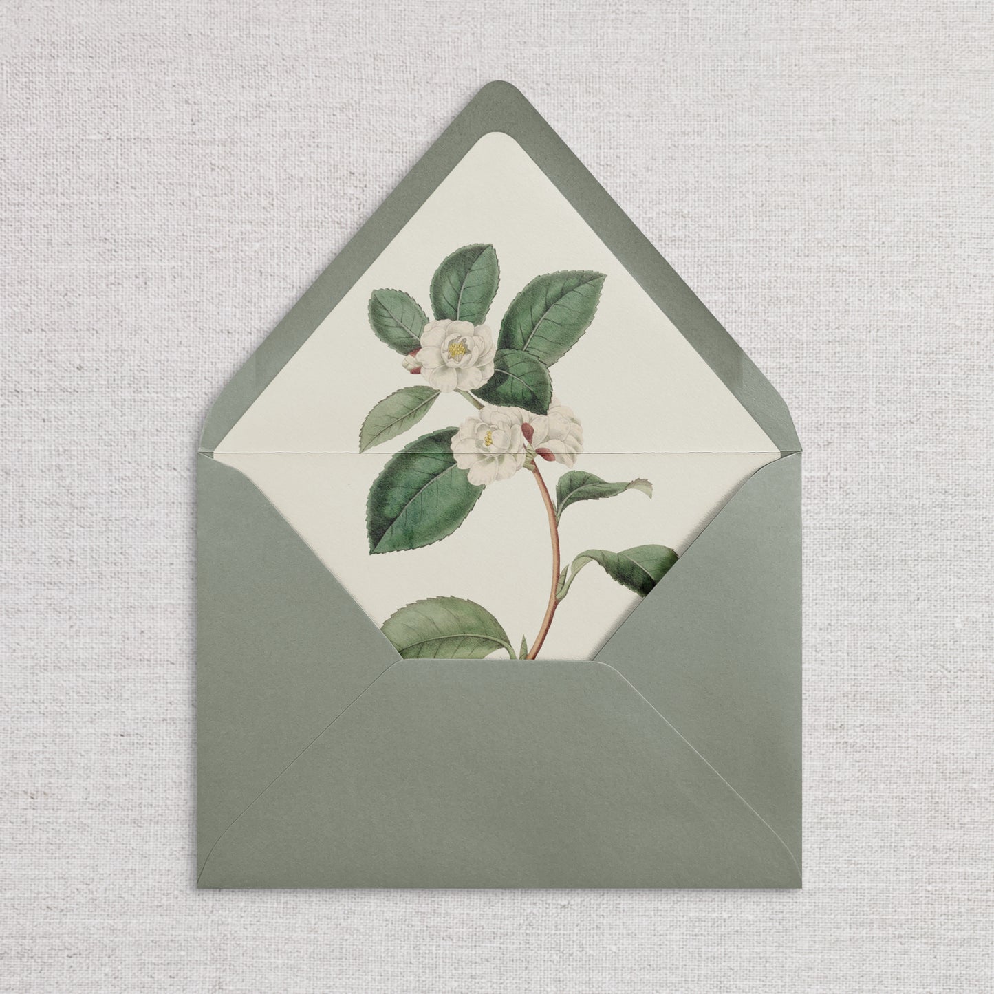 Konvolutt med liner - Blossom